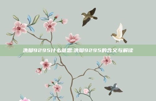 洗脚9295什么意思:洗脚9295的含义与解读