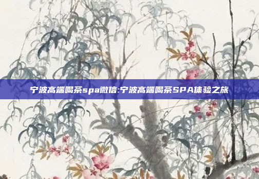 宁波高端喝茶spa微信:宁波高端喝茶SPA体验之旅