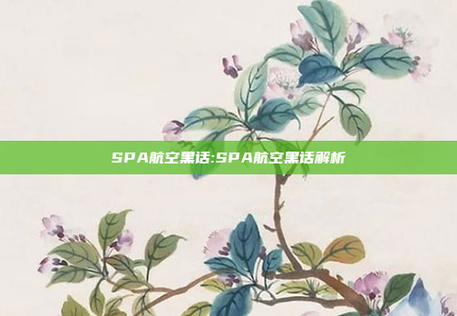 SPA航空黑话:SPA航空黑话解析