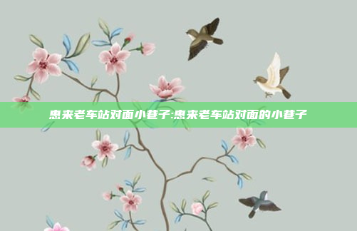 惠来老车站对面小巷子:惠来老车站对面的小巷子