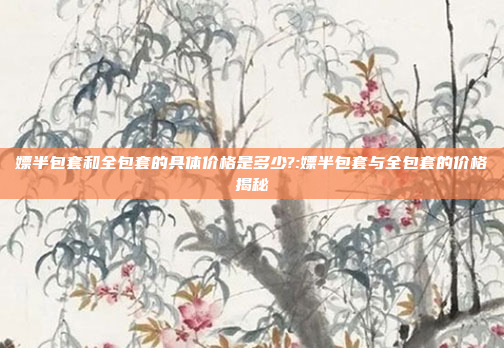 嫖半包套和全包套的具体价格是多少?:嫖半包套与全包套的价格揭秘