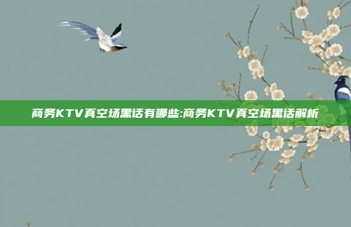 商务KTV真空场黑话有哪些:商务KTV真空场黑话解析