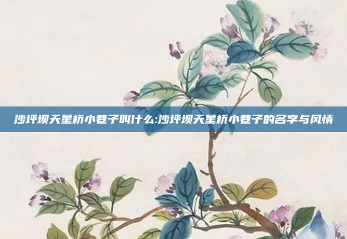 沙坪坝天星桥小巷子叫什么:沙坪坝天星桥小巷子的名字与风情