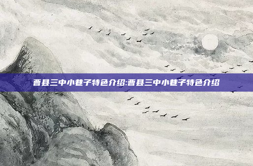 曹县三中小巷子特色介绍:曹县三中小巷子特色介绍